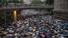 Twitter et Facebook accusent Pékin de chercher à semer la discorde à Hong Kong