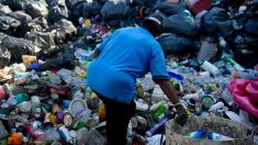 Retour à l’envoyeur: la Malaisie cherche l’origine de tonnes de déchets plastiques