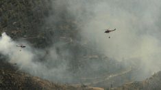 Incendies : plus d’un millier d’hectares brûlés dans l’île de Grande Canarie en Espagne