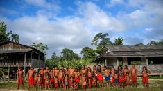 Amazonie: Des indigènes « indignés » par les résultats d’autopsie d’un cacique
