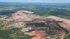 Déforestation au Brésil : la Norvège bloque 30 millions d’euros de subventions