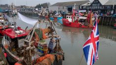 Le Brexit à tout prix: les pêcheurs de Milford Haven parient sur Boris Johnson