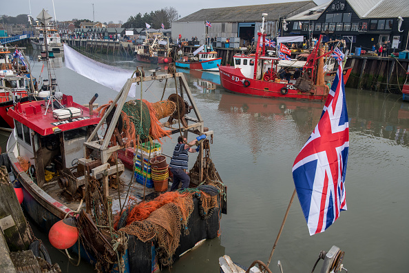 -Dans la petite ville portuaire de Milford Haven les pêcheurs s’expriment « Boris Johnson est le dernier espoir que le pays se débarrasse finalement des règles de l'UE et chasse les pêcheurs étrangers ». Photo de Chris J Ratcliffe / Getty Images.