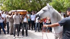 Une vidéo émouvante montre un cheval en deuil en train de dire adieu à son maître lors de ses funérailles