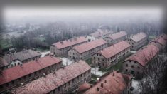 Une vidéo intrigante sur les ruines d’Auschwitz révèle l’étendue de l’horreur de l’Holocauste