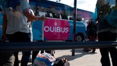 Loiret : le bus dans lequel elle voyage l’oublie sur une aire d’autoroute et repart avec ses deux enfants