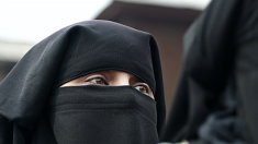 Pays-Bas: un conducteur de bus refuse à une femme portant le niqab de faire le trajet et appelle la police