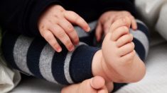 Près de Dieppe : un bébé de 6 mois brûlé à la main au 3e degré par un radiateur à la crèche