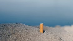 Antibes, La Ciotat, La Rochelle, Royan, Biarritz… la cigarette interdite sur une soixantaine de plages