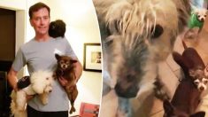 Le chien d’un homme du Colorado meurt, alors il adopte 10 chiens âgés d’un refuge local et leur donne un foyer