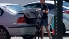 Une vidéo montre une femme enfermant un chien dans un coffre après que le refuge pour animaux a refusé de l’euthanasier
