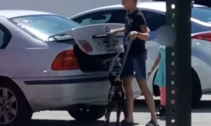 Une femme a été filmée en train de mettre dans le coffre de sa voiture un chien qu'elle a tenté de faire euthanasier. (Bureau du shérif du comté de Brevard)