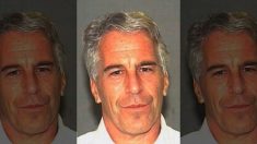 Affaire Epstein : autopsie terminée, cause de la mort non encore divulguée
