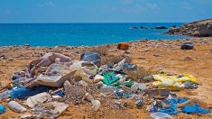 Une charte pour lutter contre les déchets plastiques sur les plages
