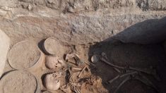 Un jeune couple enterré face à face il y a 4000 ans est exhumé au Kazakhstan