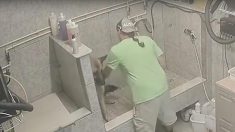 La police émet une mise en garde après qu’un toiletteur pour chiens a été filmé en train de commettre cet acte horrible