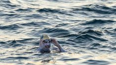 Guérie de son cancer, elle traverse quatre fois la Manche à la nage sans s’arrêter