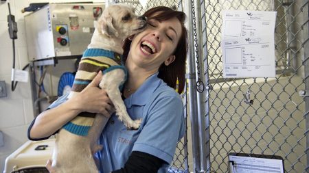 Les protecteurs des animaux félicitent le Michigan d’être devenu un État exempt d’euthanasie animale
