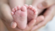 Des médecins tchèques ont réussi à donner naissance à une petite fille 117 jours après la mort cérébrale de la mère