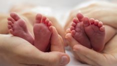 Une vidéo de jumelles se tenant par la main à la naissance devient virale