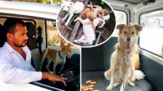 Un Indien économise son argent pendant 10 ans pour acheter une « ambulance pour animaux » afin de sauver des chiens errants en détresse