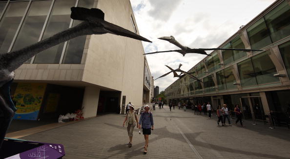 -Des modèles de reptiles de dinosaures volants prédateurs géants, appelés ptérosaures, sont suspendus devant le Royal Festival Hall le 21 juin 2010 à Londres, Angleterre. Photo de Peter Macdiarmid / Getty Images.