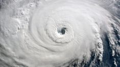 Avec des rafales de 355 km/h, l’ouragan Dorian s’abat de plein fouet sur les Bahamas