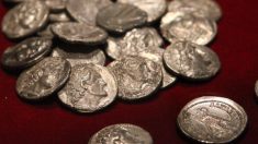 Un trésor exceptionnel de pièces médiévales découvert dans la Creuse