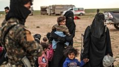 Deux femmes djihadistes et neuf enfants de retour en France
