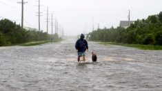 VIDÉO : Une jeune femme risque sa vie pour sauver ses chiens de la noyade pendant le passage de l’ouragan Dorian