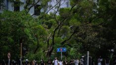 A Hong Kong, les élèves du secondaire se mobilisent avec des « chaînes humaines »