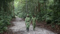 En lisière des parcs du Gabon, la lutte contre le réchauffement climatique ne convainc pas