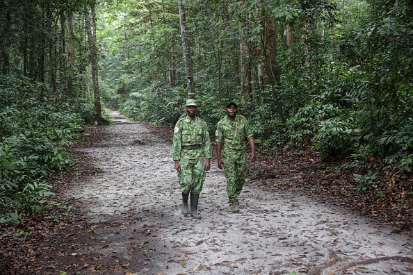 -Le 27 septembre 2019, deux gardes forestiers marchent sur une route de la forêt d'Akanda, un parc national situé à quelques kilomètres du centre-ville de la capitale, Libreville. Photo de Steve JORDAN / AFP / Getty Images.