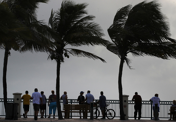 Des vents forts déplacent les palmiers à Vero Beach en Floride alors que l'ouragan Dorian se s'approche des côtes américaines, le 2 septembre 2019. (Mark Wilson/Getty Images)