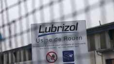 Rouen : incendie dans une usine chimique classée Seveso, les établissements scolaires fermés