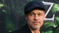Un ouvrier affirme qu’il ne peut pas aller travailler parce qu’on le confond avec Brad Pitt