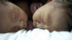 Chine : une maman vend ses jumeaux en bas âge et s’offre un nouveau portable