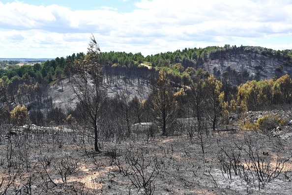 300 hectares de pinèdes ont été ravagés par un incendie dans l'Hérault.  (Photo : PASCAL GUYOT/AFP/Getty Images)