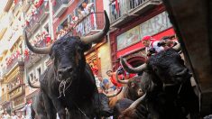 Espagne : un octogénaire décède après avoir été encorné lors d’un lâcher de taureaux