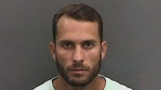 Un homme de Floride est condamné à 10 jours d’emprisonnement pour avoir traîné un requin derrière un bateau