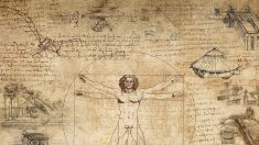 Léonard de Vinci : la réédition de ses Carnets, une mine d’or pour les amateurs