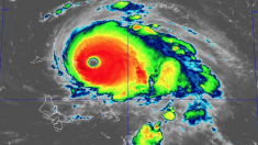L’ouragan Dorian se renforce et passe en catégorie 5 avec des vents à près de 260 km/h