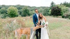 Un cerf sauvage s’invite à la séance photos d’un mariage et mange le bouquet de la mariée