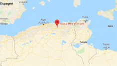 Huit nourrissons décèdent dans l’incendie dramatique d’une maternité en Algérie