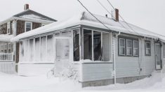 Un chauffeur livreur local se met tranquillement à pelleter la neige du porche d’une maison pour aider la propriétaire qui vient de perdre son mari