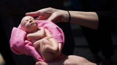 L’État le plus peuplé d’Australie adopte un projet de loi sur l’avortement après une tentative infructueuse en 2017
