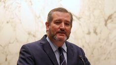 Le sénateur Ted Cruz condamne la pratique «barbare» des prélèvements forcés d’organes en Chine