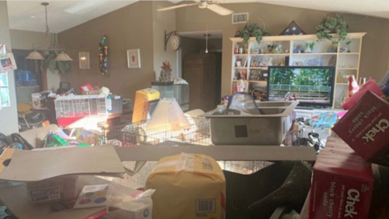 Vue de l'intérieur de la  maison à Edgewater où 245 animaux et trois enfants ont été retrouvés dans un état de négligence extrême (Edgewater Police Department/Facebook)
