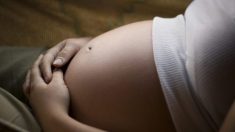 Floride : 20 ans de prison pour l’ex-baby-sitter qui est tombée enceinte de l’enfant dont elle s’occupait
