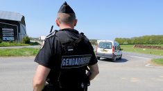 Radicalisation dans la gendarmerie: une vingtaine de personnes écartées